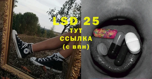 PSILOCYBIN Остров