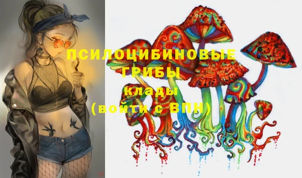 прущий лед Осинники