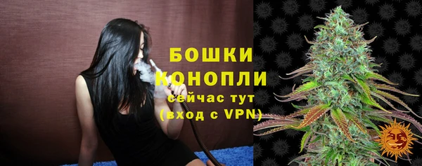 прущий лед Осинники