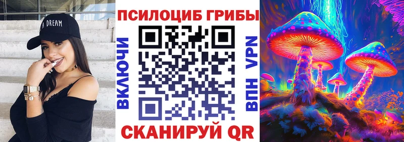 мориарти как зайти Сковородино Псилоцибиновые грибы мицелий купить наркотики сайты