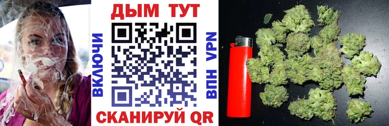 Каннабис SATIVA & INDICA дарк нет официальный сайт Сковородино где купить наркоту